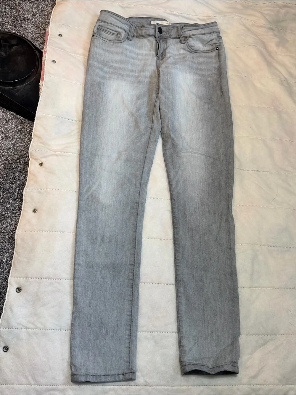 Daytrip Light Gray Skinny Jeans
